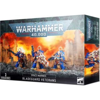 Space Marines: Bladeguard Veterans