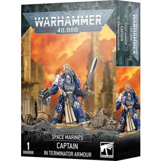Space Marines Captain In Terminator Armour