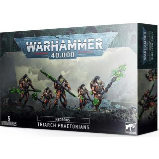 Necrons Triarch Praetorians