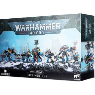 Space Wolves Grey Hunters