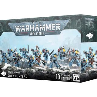 Space Wolves: Grey Hunters (2025)