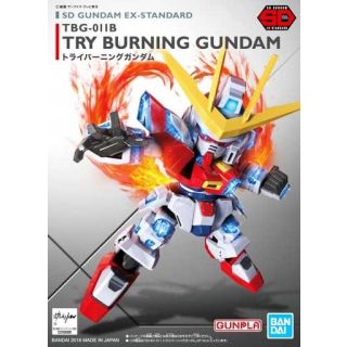 TBG-011B Try Burning Gundam [Bandai SDExS Gundam #011 /B]