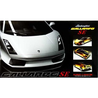 Lamborghini Gallardo SE 1/24 (RS #70) [Fujimi]