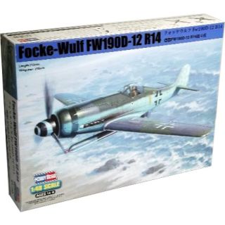Focke-Wulf Fw 190 D-12 R14 1/48 [Hobby Boss]