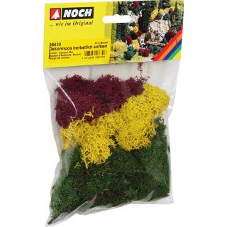 Lichen Autumn Mix 35 g