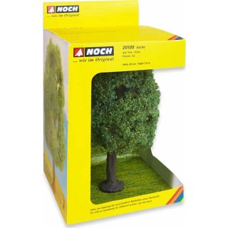 Ash Tree 20 cm