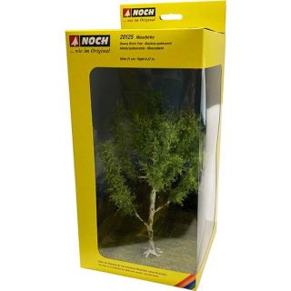Downy Birch Tree 21 cm