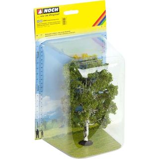 Double Trunk Birch 19 cm