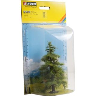 Spruce Tree