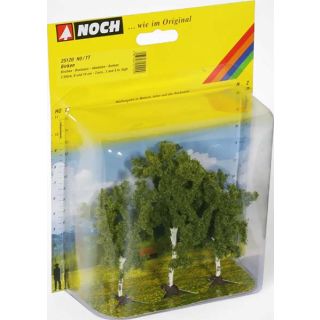 Birches 3 pieces, 8 cm and 10 cm