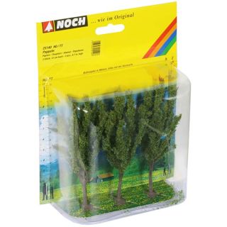 Poplars 3 pieces, 12 cm high