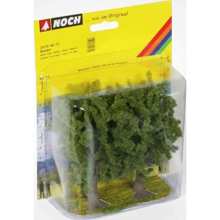 Beech Trees 2 pieces, 13 cm