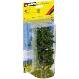 Lime Tree 18,5 cm