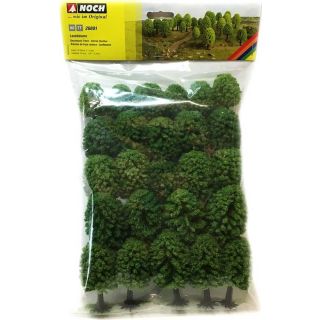 Deciduous Trees 25 pcs, 5 - 9 cm